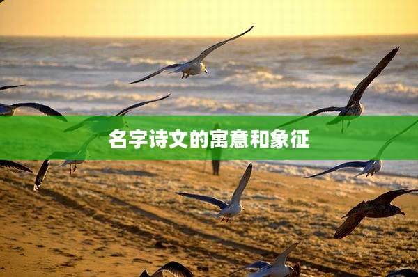 名字诗文的寓意和象征