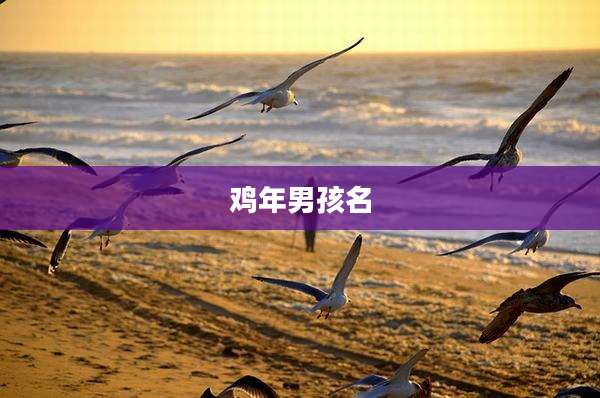 鸡年男孩名