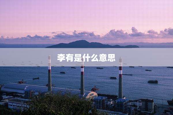 李有是什么意思