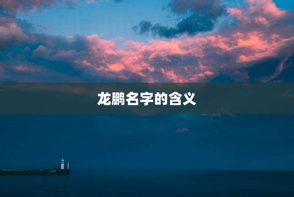 龙鹏名字的含义
