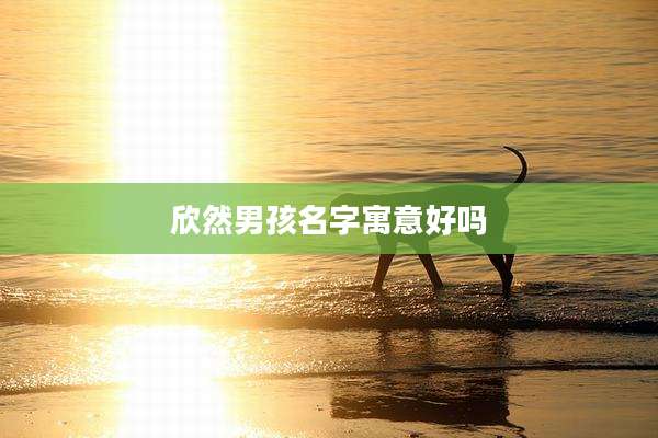 欣然男孩名字寓意好吗