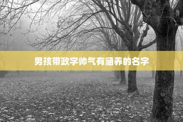 男孩带政字帅气有涵养的名字