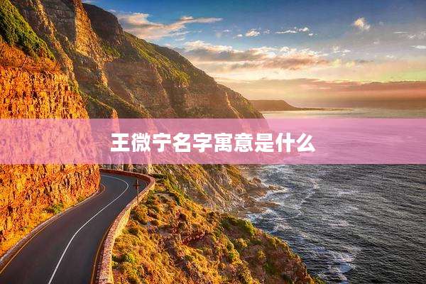王微宁名字寓意是什么