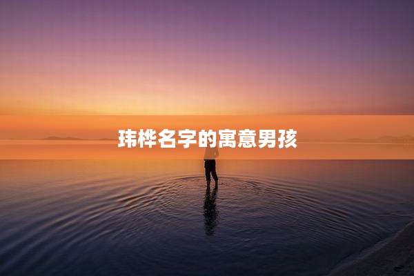 玮桦名字的寓意男孩