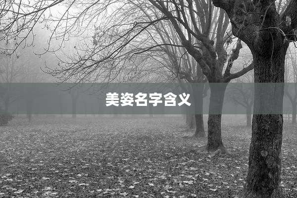 美姿名字含义