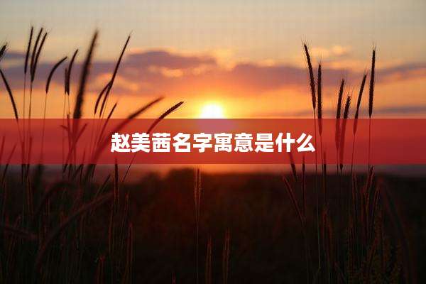 赵美茜名字寓意是什么