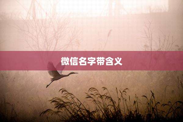微信名字带含义