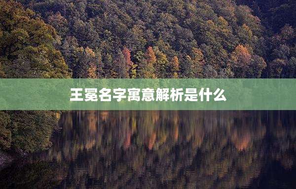 王冕名字寓意解析是什么