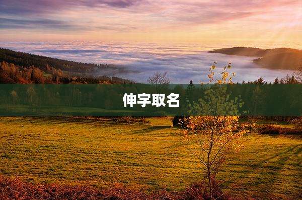伸字取名