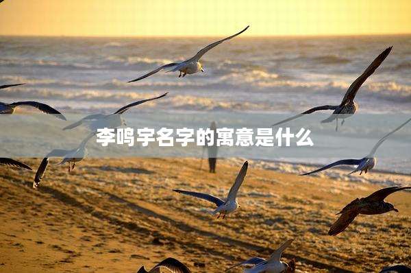 李鸣宇名字的寓意是什么