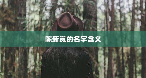 陈新岚的名字含义