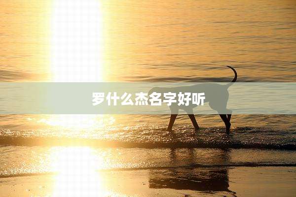 罗什么杰名字好听