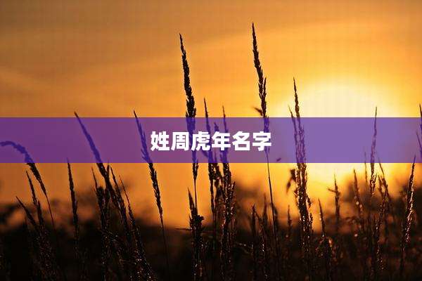 姓周虎年名字