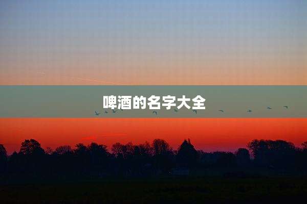 啤酒的名字大全