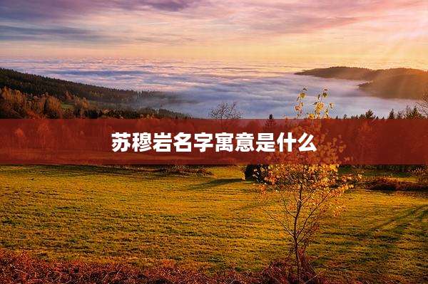 苏穆岩名字寓意是什么