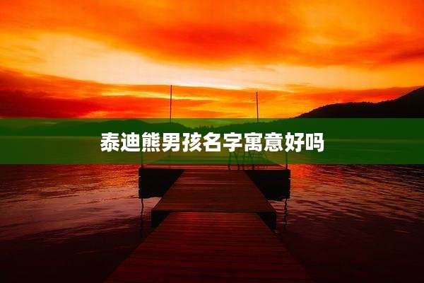 泰迪熊男孩名字寓意好吗