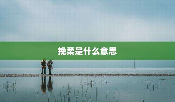 挽柔是什么意思