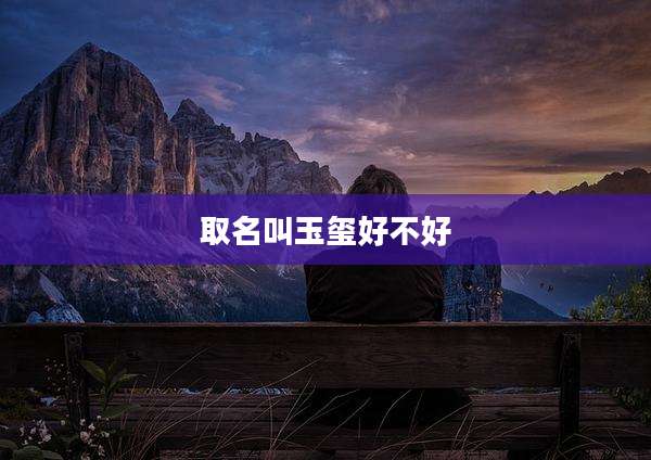 取名叫玉玺好不好