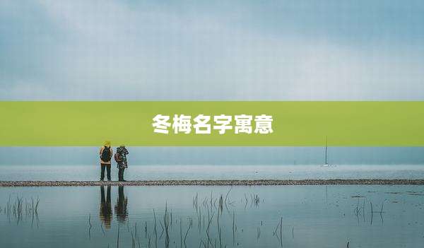 冬梅名字寓意