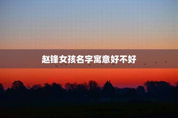 赵锋女孩名字寓意好不好