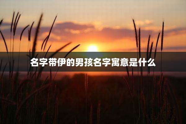 名字带伊的男孩名字寓意是什么