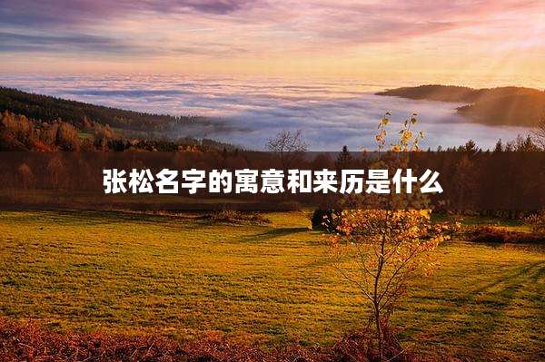 张松名字的寓意和来历是什么