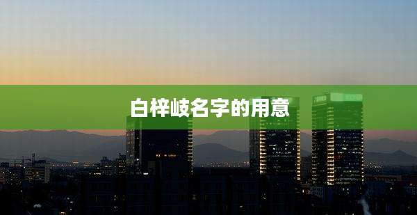 白梓岐名字的用意