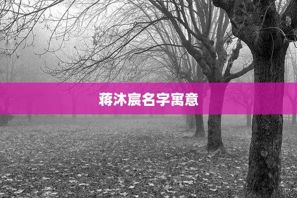 蒋沐宸名字寓意