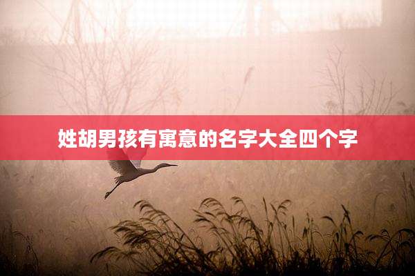 姓胡男孩有寓意的名字大全四个字