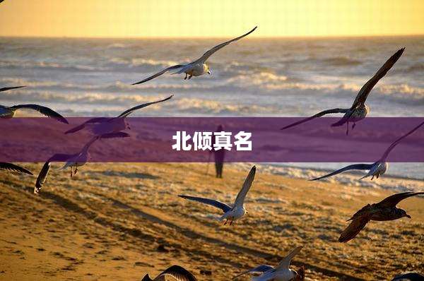 北倾真名