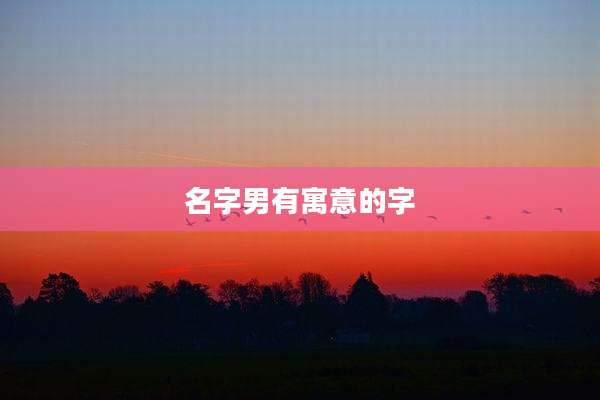 名字男有寓意的字