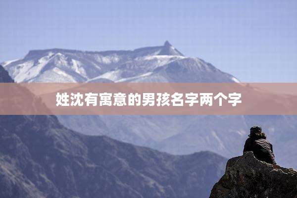 姓沈有寓意的男孩名字两个字