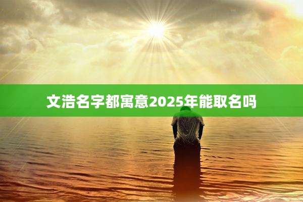 文浩名字都寓意2025年能取名吗