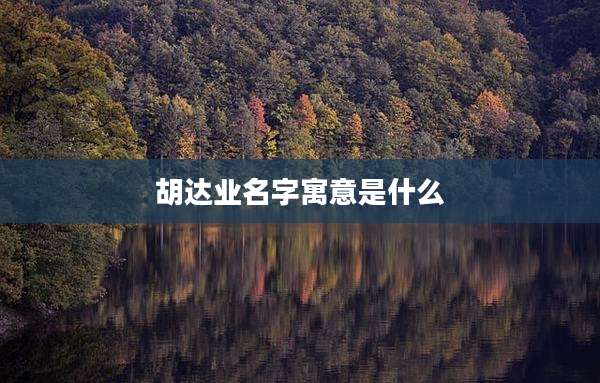 胡达业名字寓意是什么