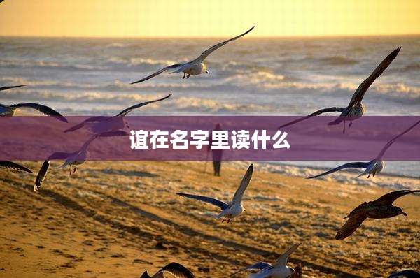 谊在名字里读什么