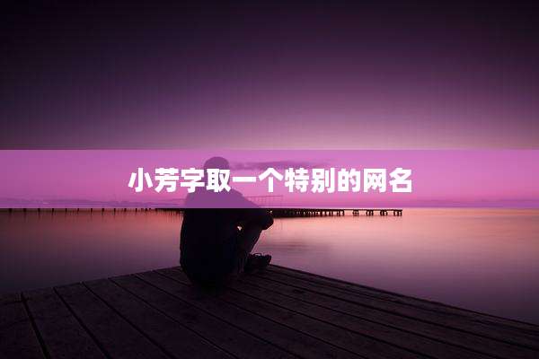 小芳字取一个特别的网名