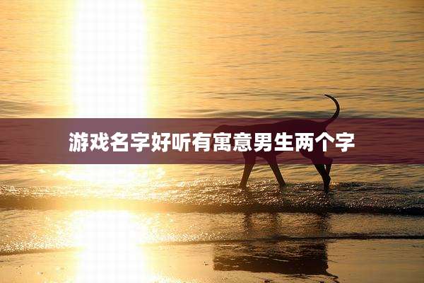游戏名字好听有寓意男生两个字