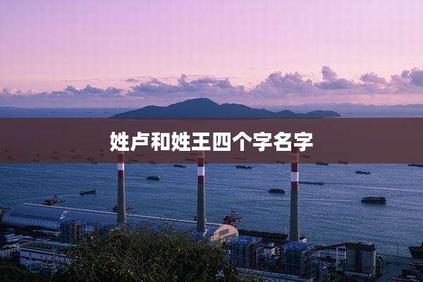 姓卢和姓王四个字名字