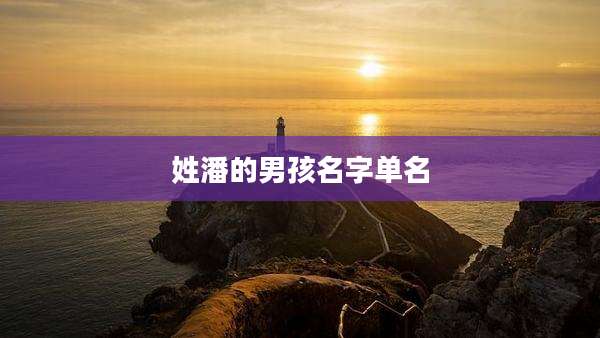 姓潘的男孩名字单名