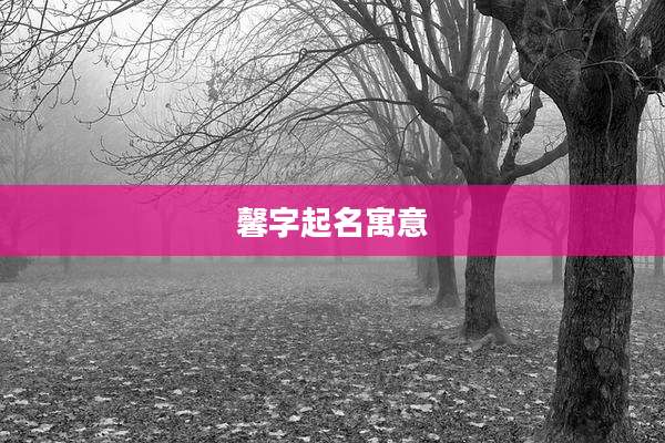 馨字起名寓意