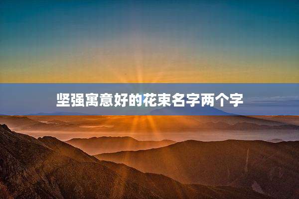 坚强寓意好的花束名字两个字