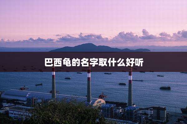 巴西龟的名字取什么好听