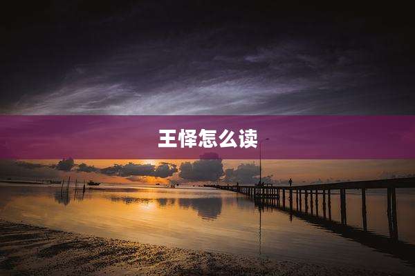 王怿怎么读