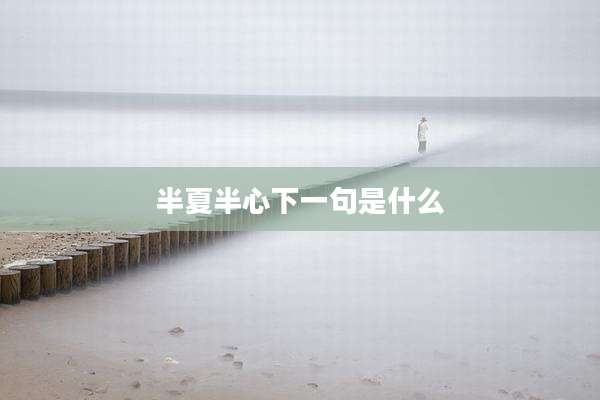 半夏半心下一句是什么