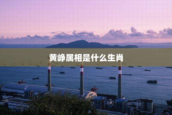 黄峥属相是什么生肖