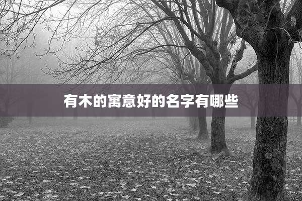 有木的寓意好的名字有哪些