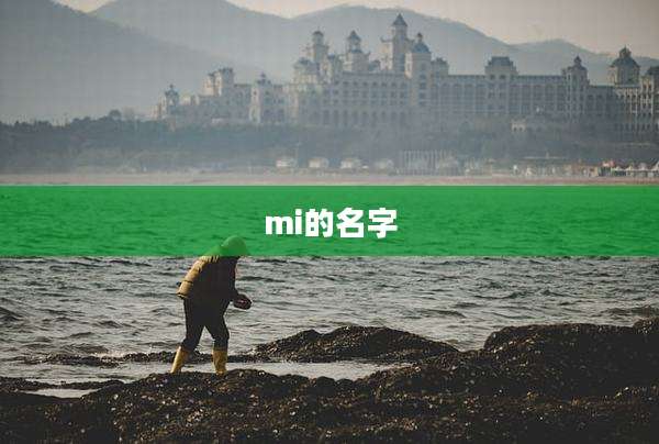 mi的名字