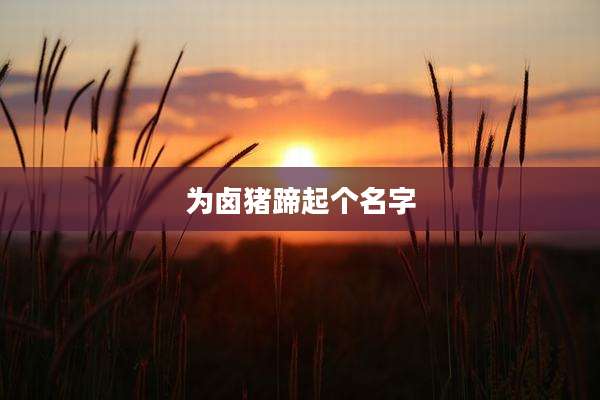 为卤猪蹄起个名字