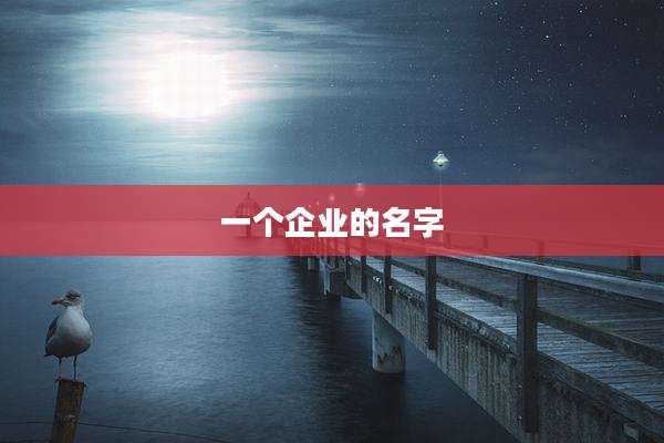 一个企业的名字