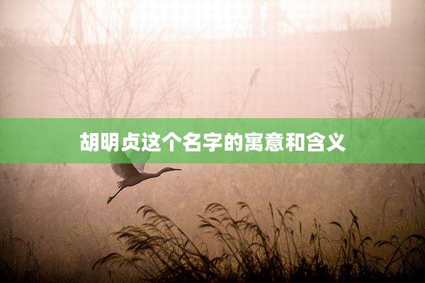 胡明贞这个名字的寓意和含义